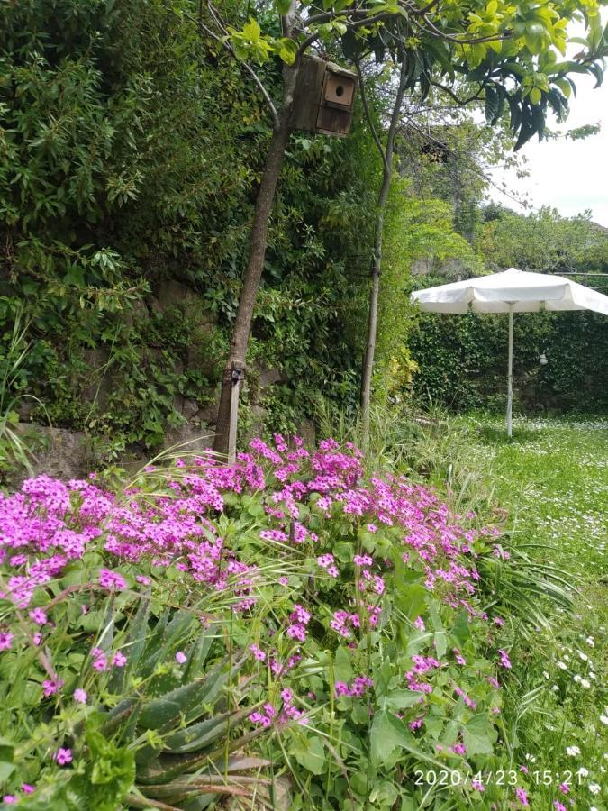Apartamentos & Casa Rural Boada Con Jardin Interior Y Barbacoa Villamiel Luaran gambar